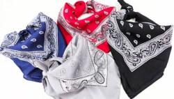 Seidentuch_16783_04_06_14_46